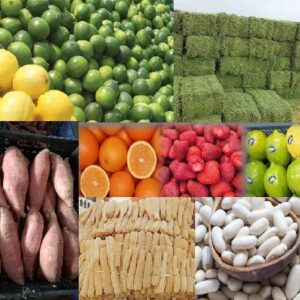 agricultural-products-المنتجات-الزراعية